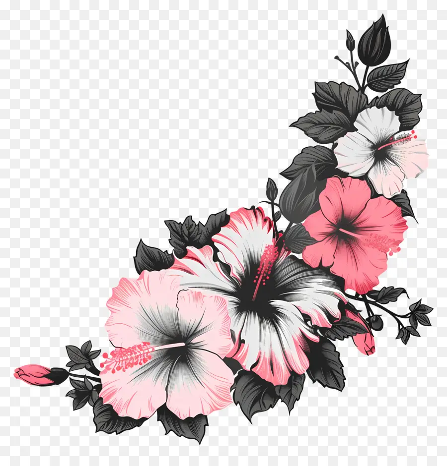 Flores Silhueta，Hibiscus PNG