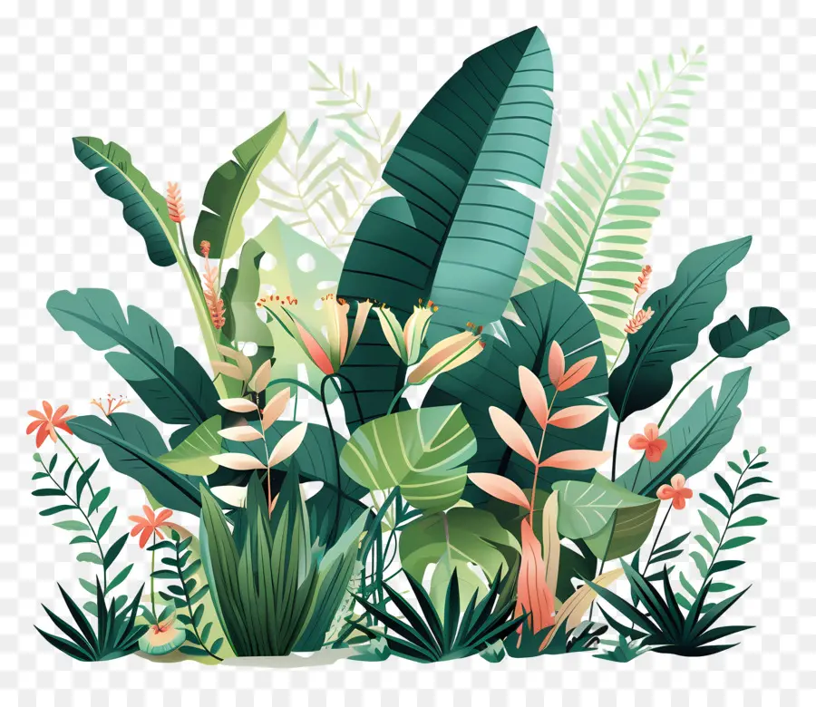 Plantas Exuberantes，Plantas Tropicais PNG