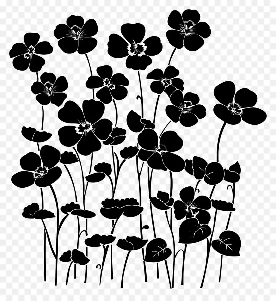 Flores Silhueta，Black Background PNG