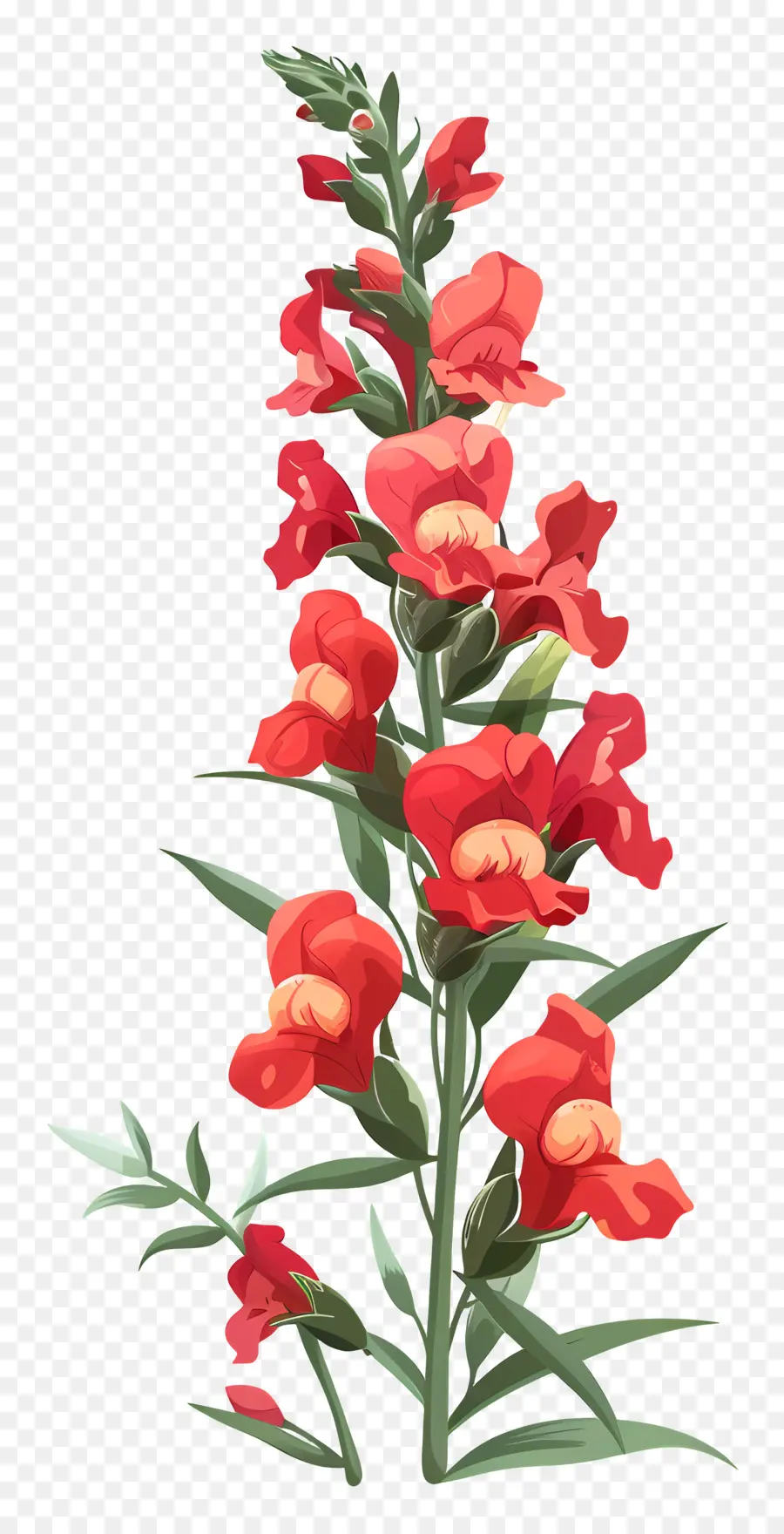 Flor Snapdragon，Flor Vermelha PNG