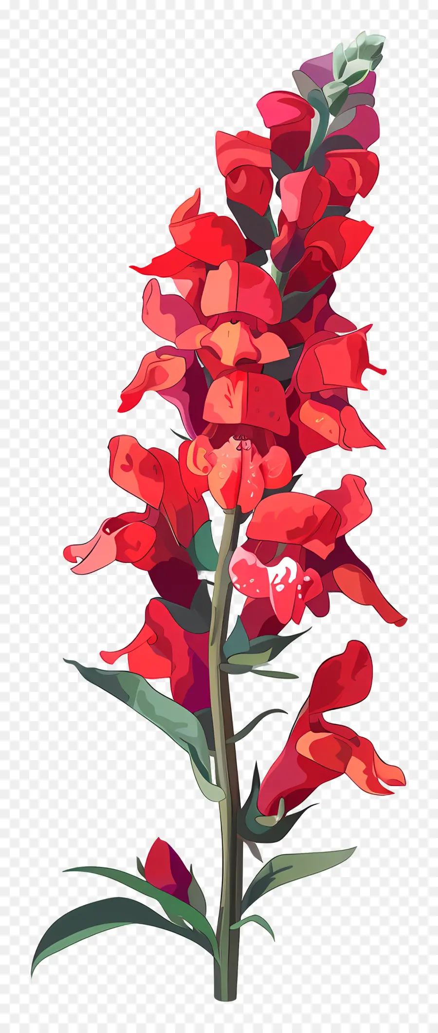 Flor Snapdragon，Flor Vermelha PNG