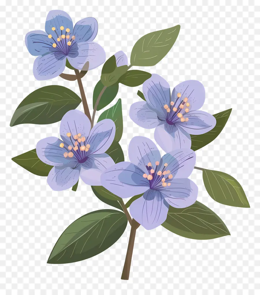 Flor Do Estado Do Alasca，Flores Azuis PNG