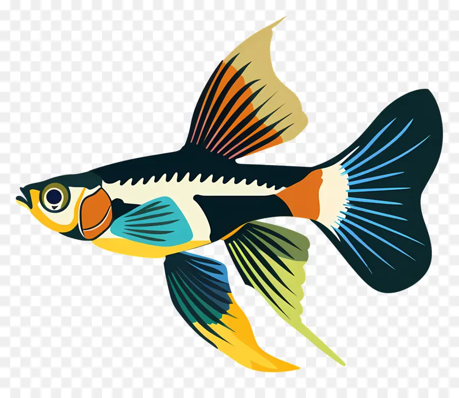 Guppy，Peixe Colorido PNG