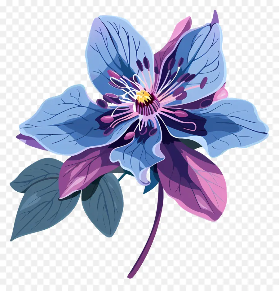 Flor Do Estado Do Alasca，Flor Azul PNG