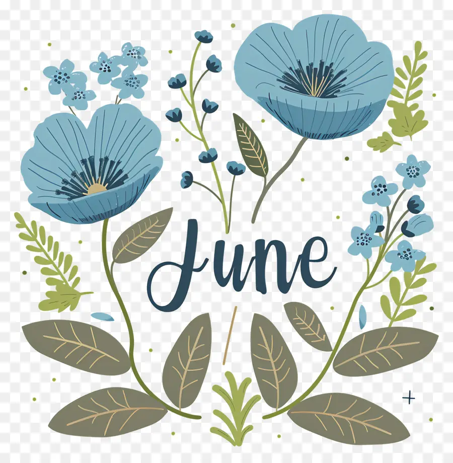 Olá Junho，Design Floral PNG