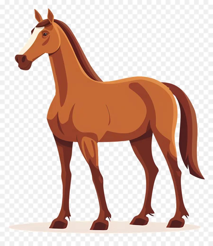 Cavalo Castanho，Cavalo PNG