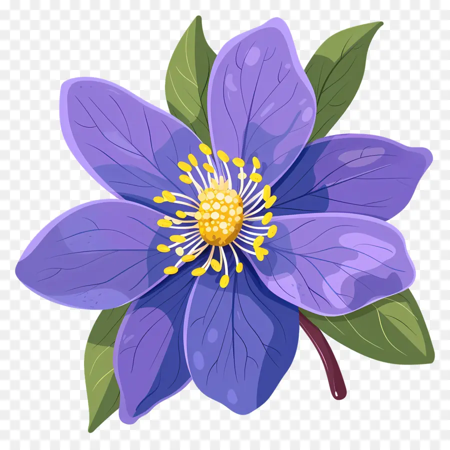 Flor Do Estado Do Alasca，Flor Azul PNG