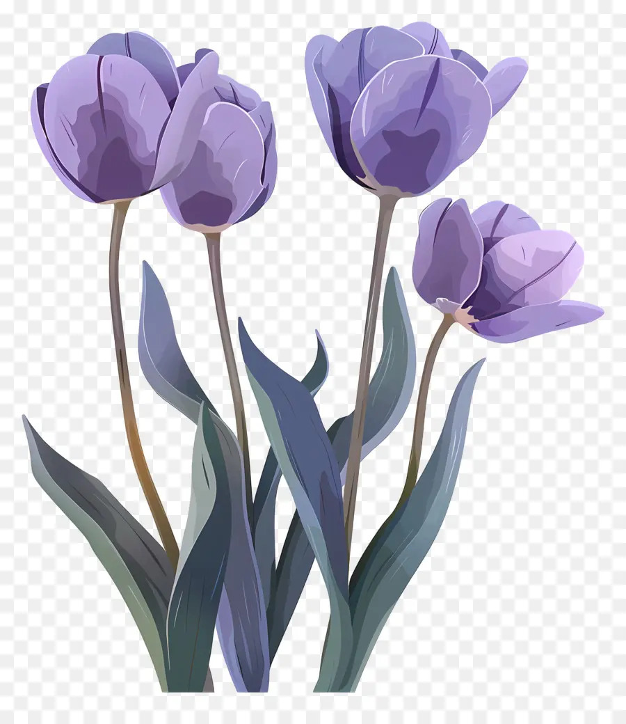 Roxo Tulipas，Buquê De Flores PNG