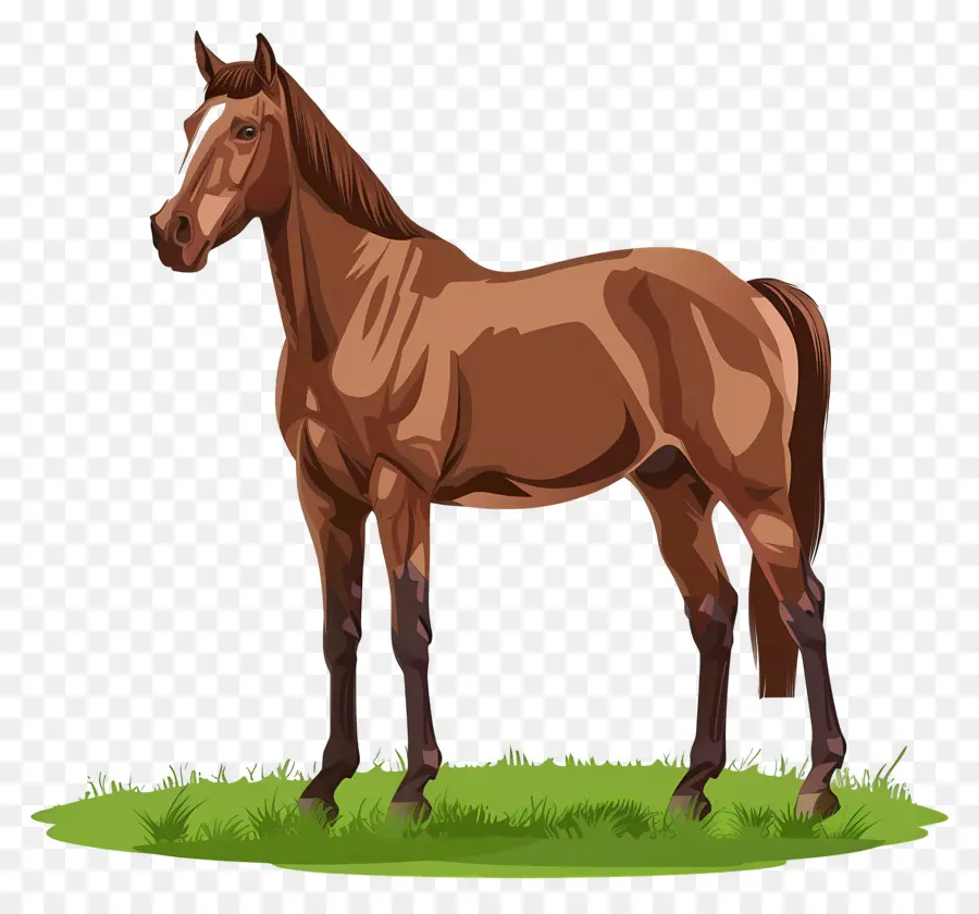 Cavalo Marrom，Cavalo PNG