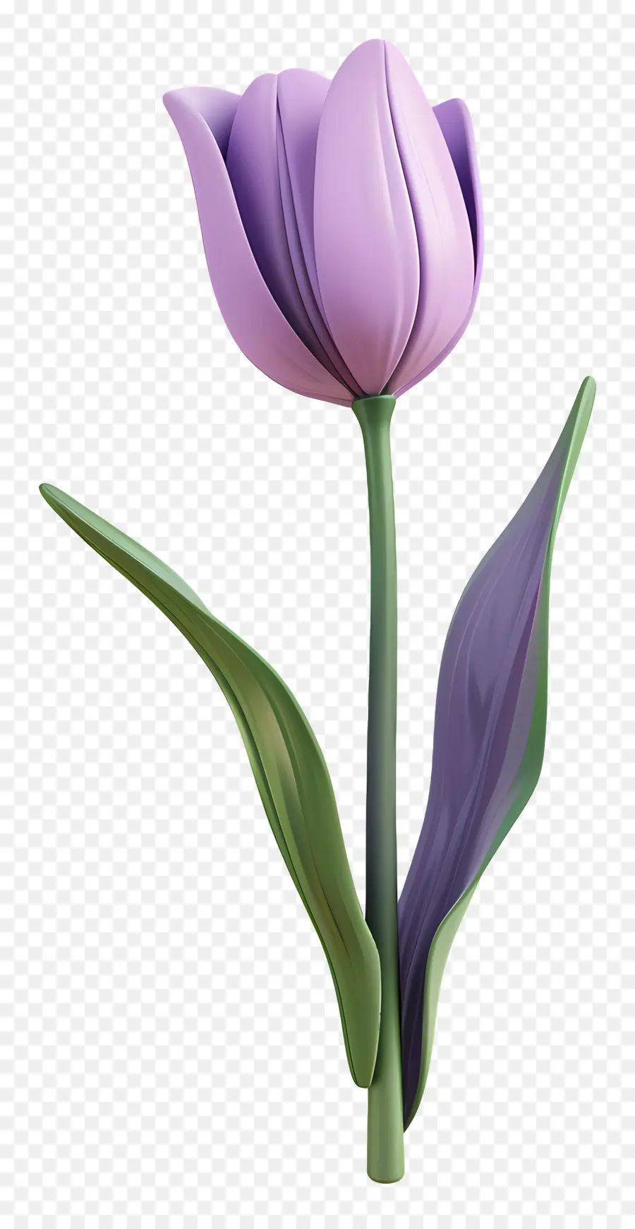 Tulipa Roxa，Flor PNG