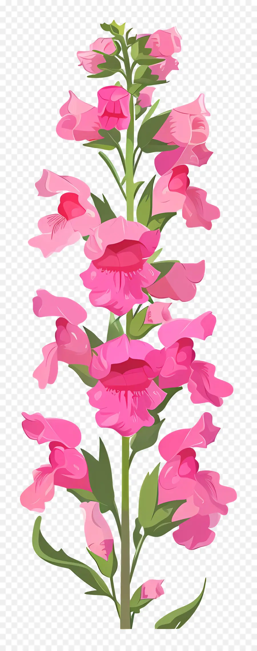 Flor Snapdragon，Flores Cor De Rosa PNG