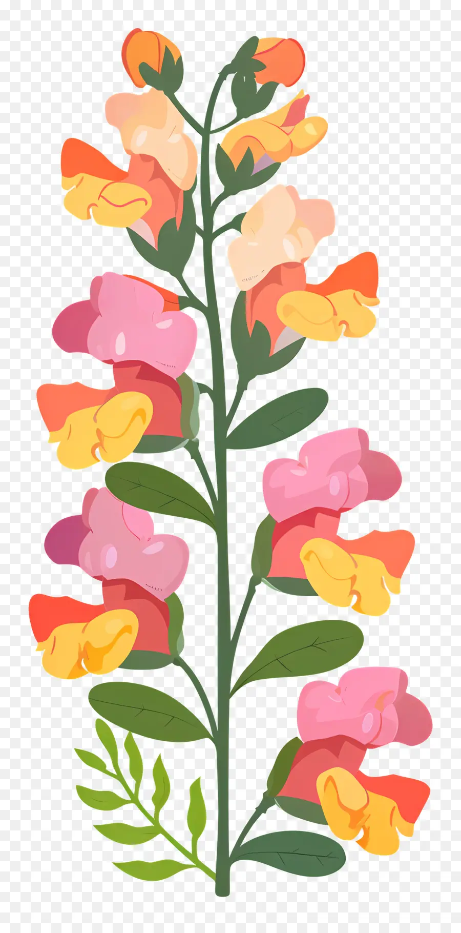 Flor Snapdragon，Flor PNG