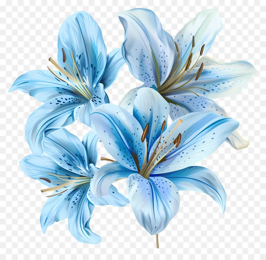 Lily，Flores Azuis Do Lírio PNG