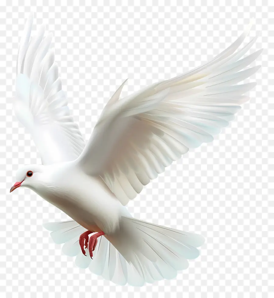 Pomba Branca，Voar PNG