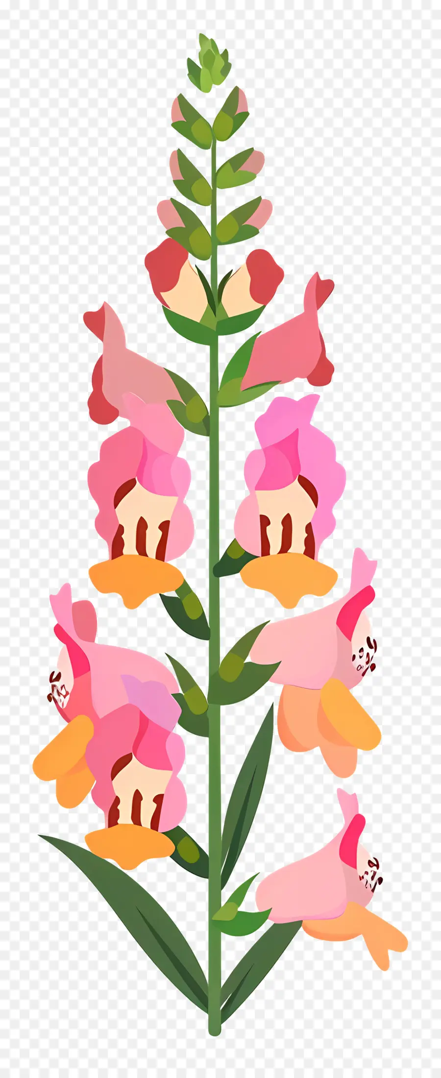 Flor Snapdragon，Flor Rosa PNG