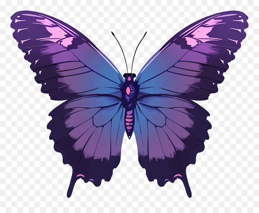 Borboleta Silhueta，Purple Butterfly PNG