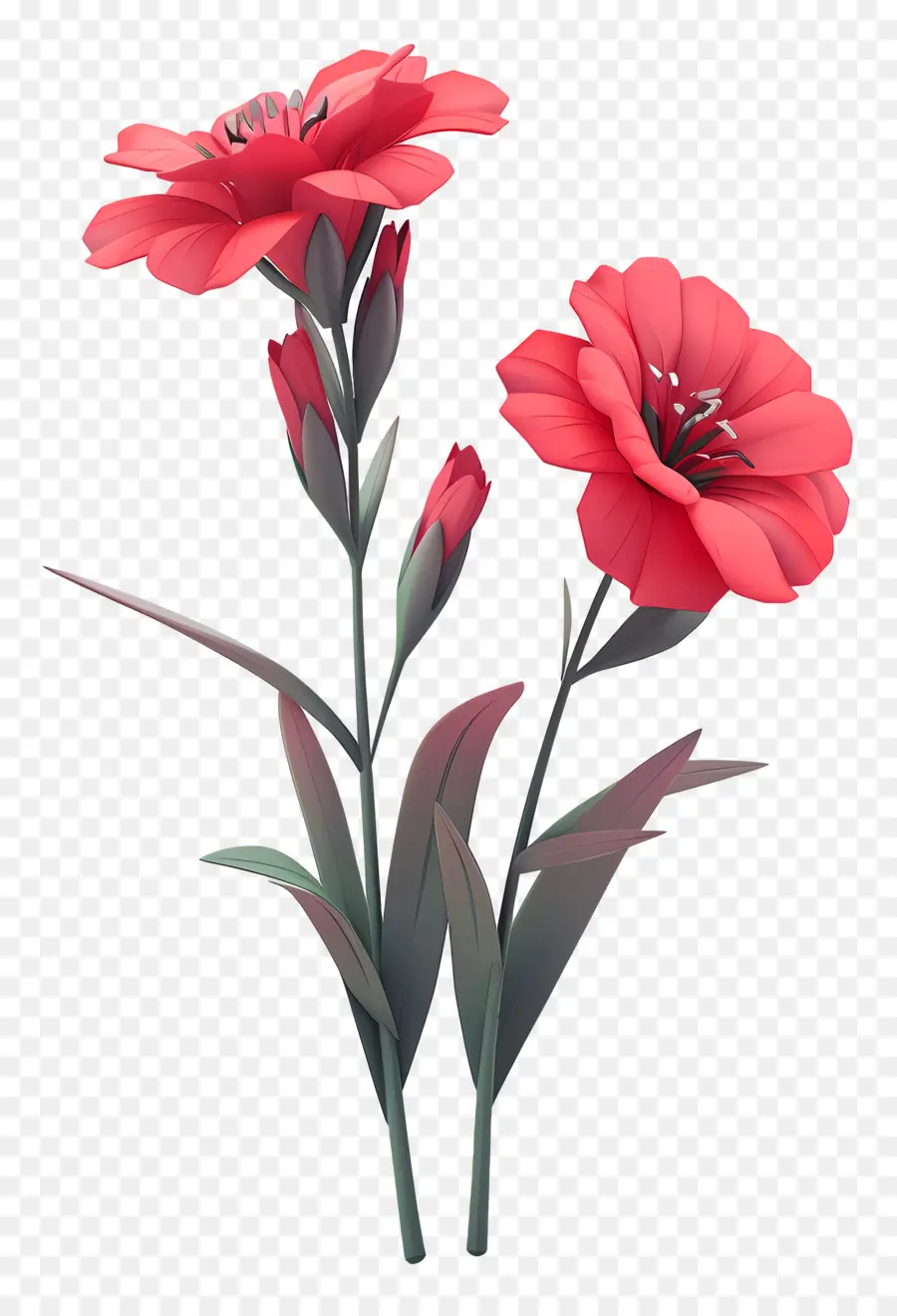 Flor De Dianthus，Renderização Em 3d PNG