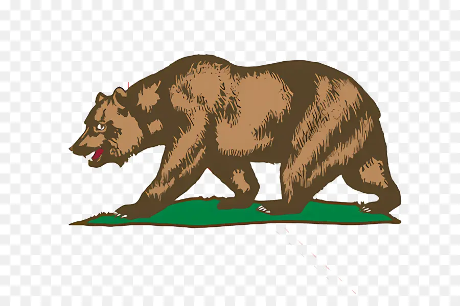 Urso De Logotipo，Ursos De Logotipo PNG