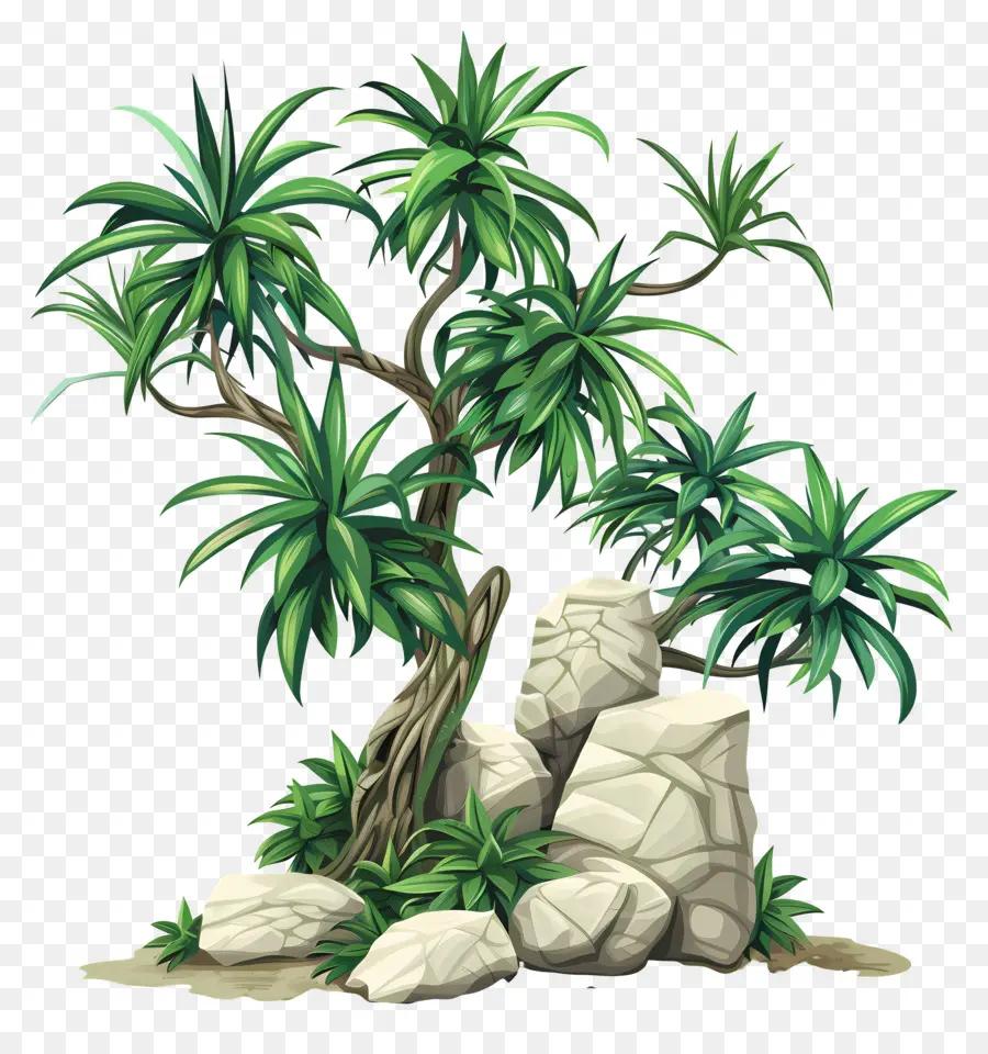 Dracaena，Cartoon PNG