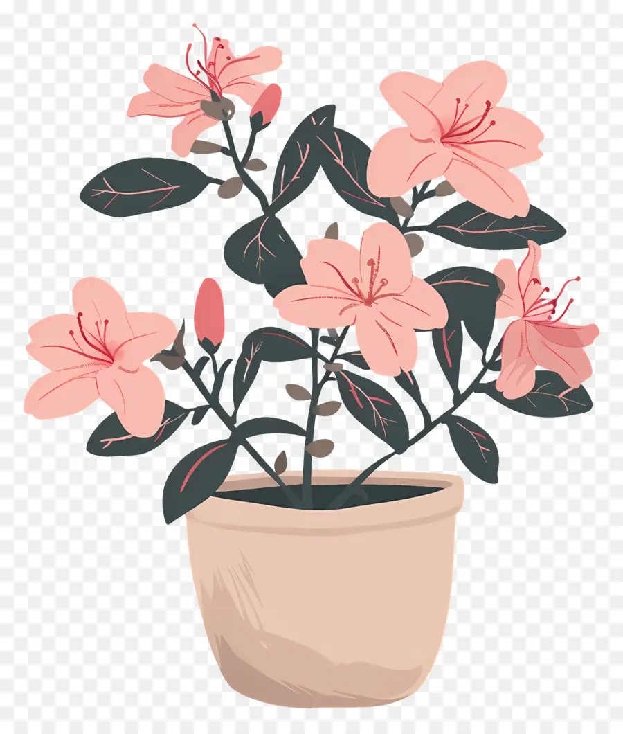 Planta Azalea，Vaso De Flores PNG