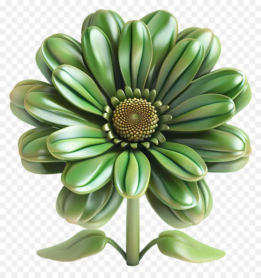 Transvaal Daisy，A Flor Verde PNG