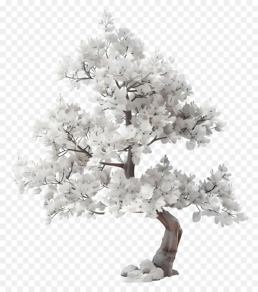 Árvore De Pinheiro Branco，Bonsai Branco PNG