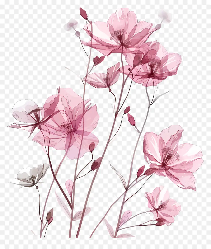 Flores Cor De Rosa，O Vaso De Flor PNG