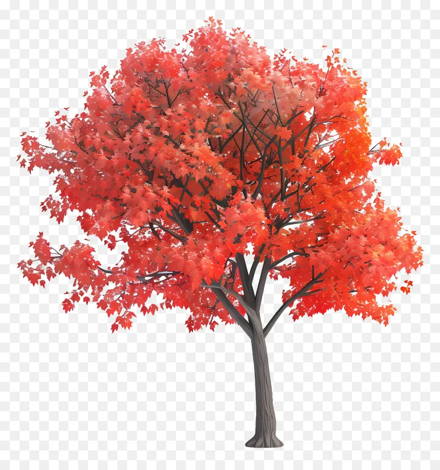 árvore De Bordo，Árvore De Bordo Vermelho PNG