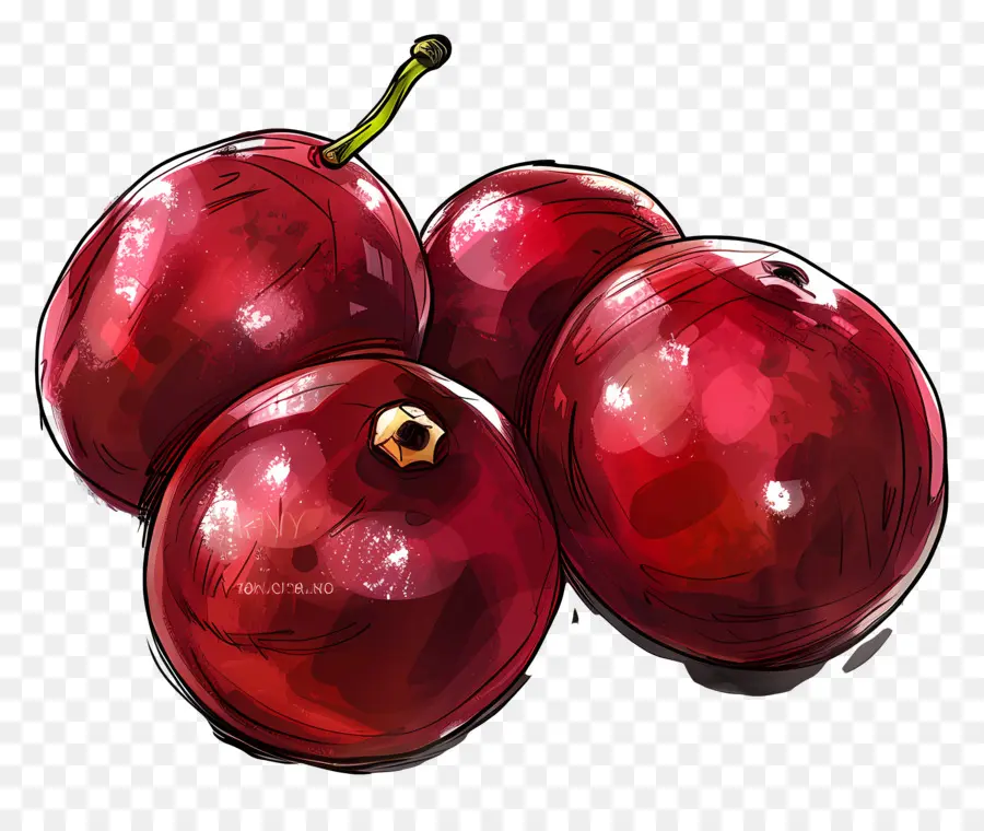 Cranberries，Cerejas PNG