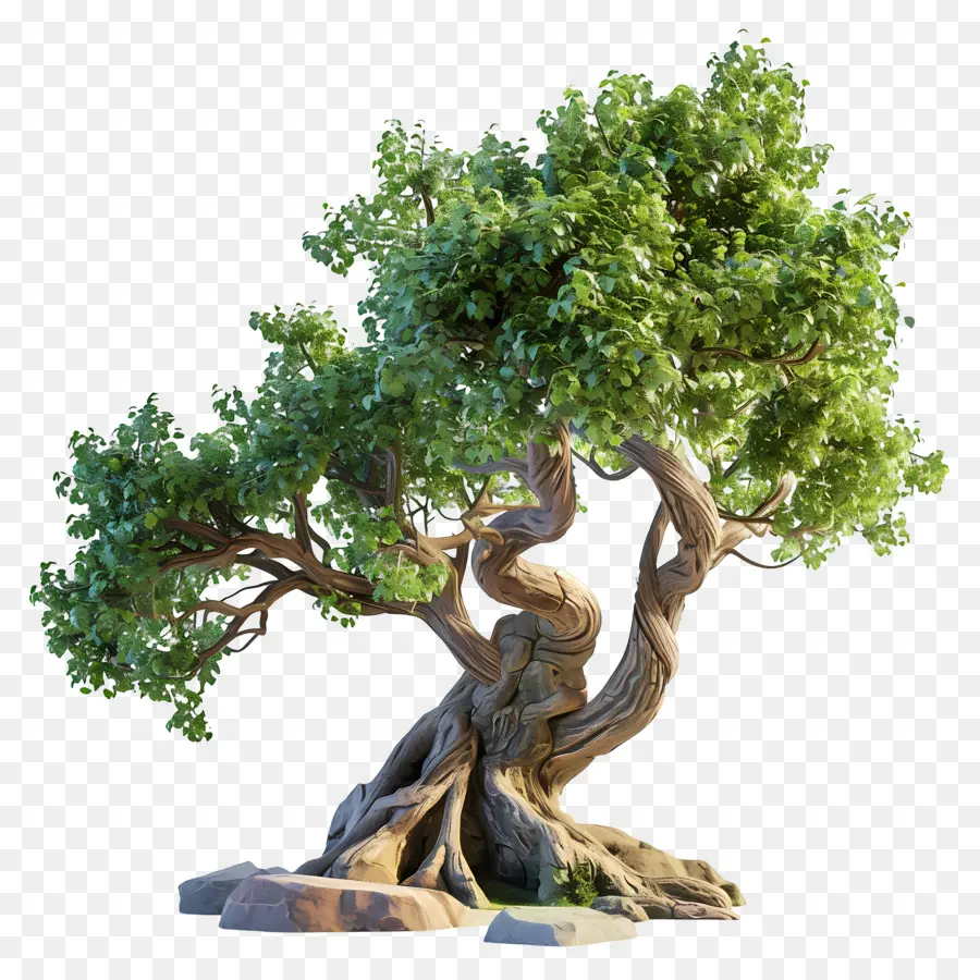 Oak Tree，Uma árvore Bonsai PNG