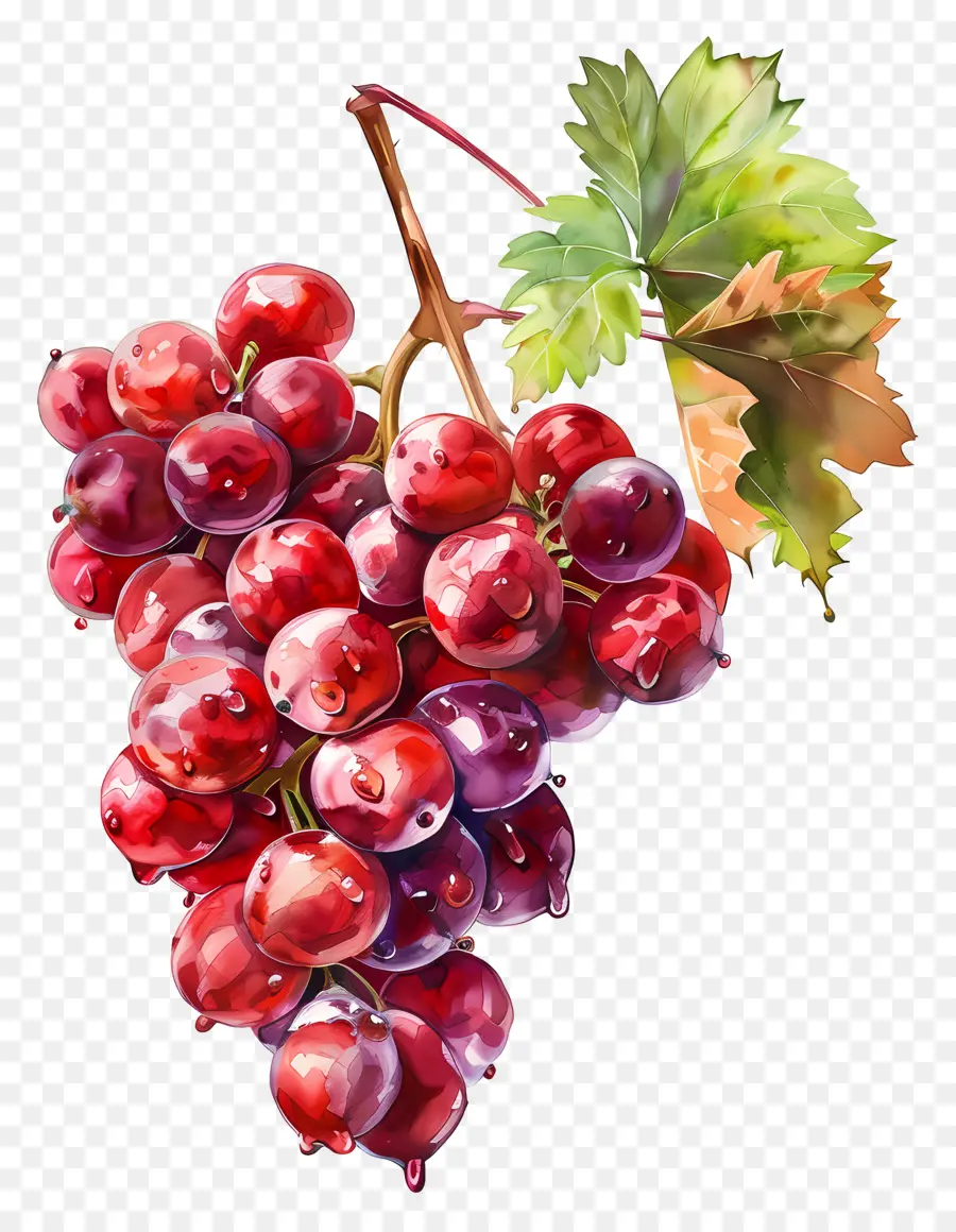 As Uvas Vermelhas，Uvas PNG