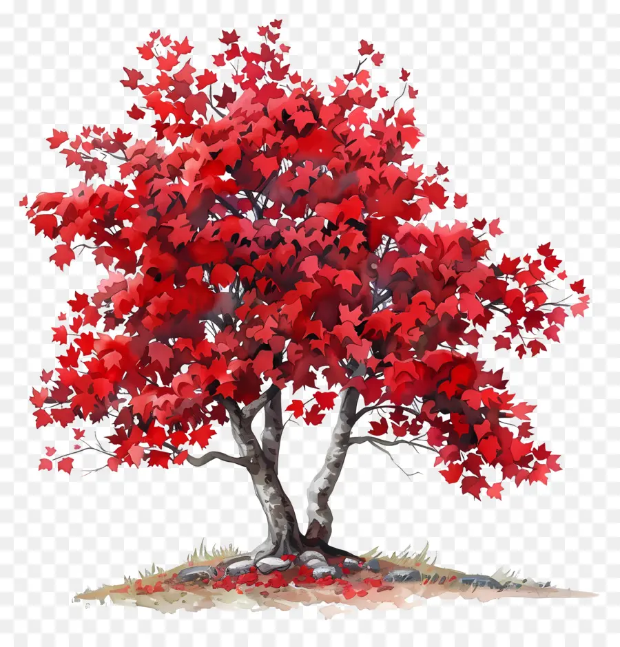árvore De Bordo，Árvore De Bordo Vermelho PNG