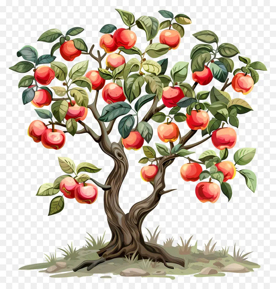 árvore De Maçã，Apple PNG
