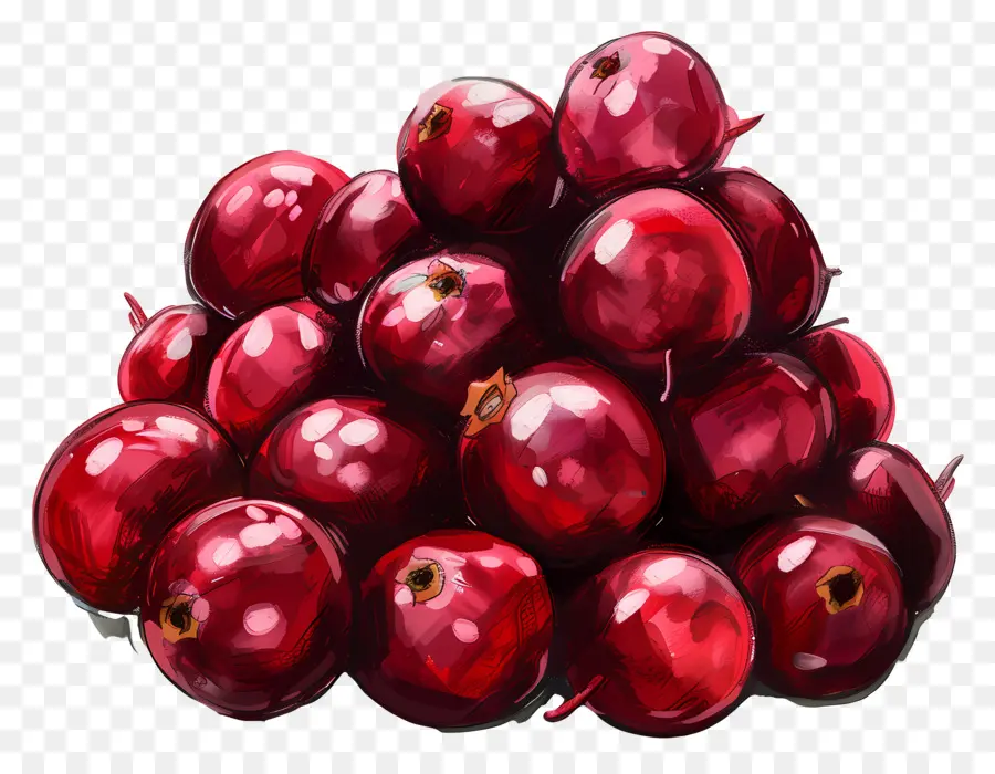 Cranberries，Bagas Vermelhas PNG