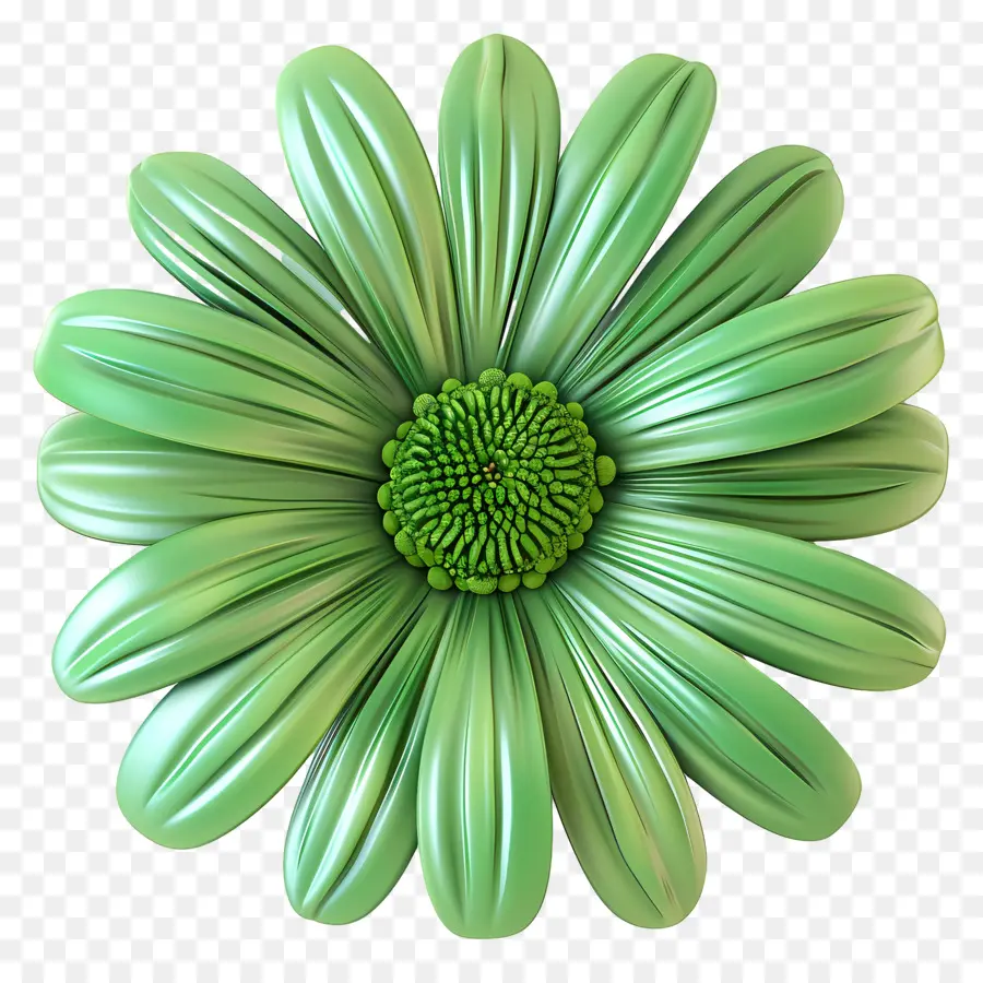 Transvaal Daisy，A Flor Verde PNG