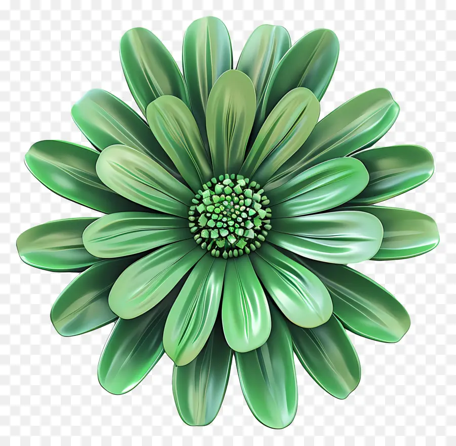 Transvaal Daisy，A Flor Verde PNG
