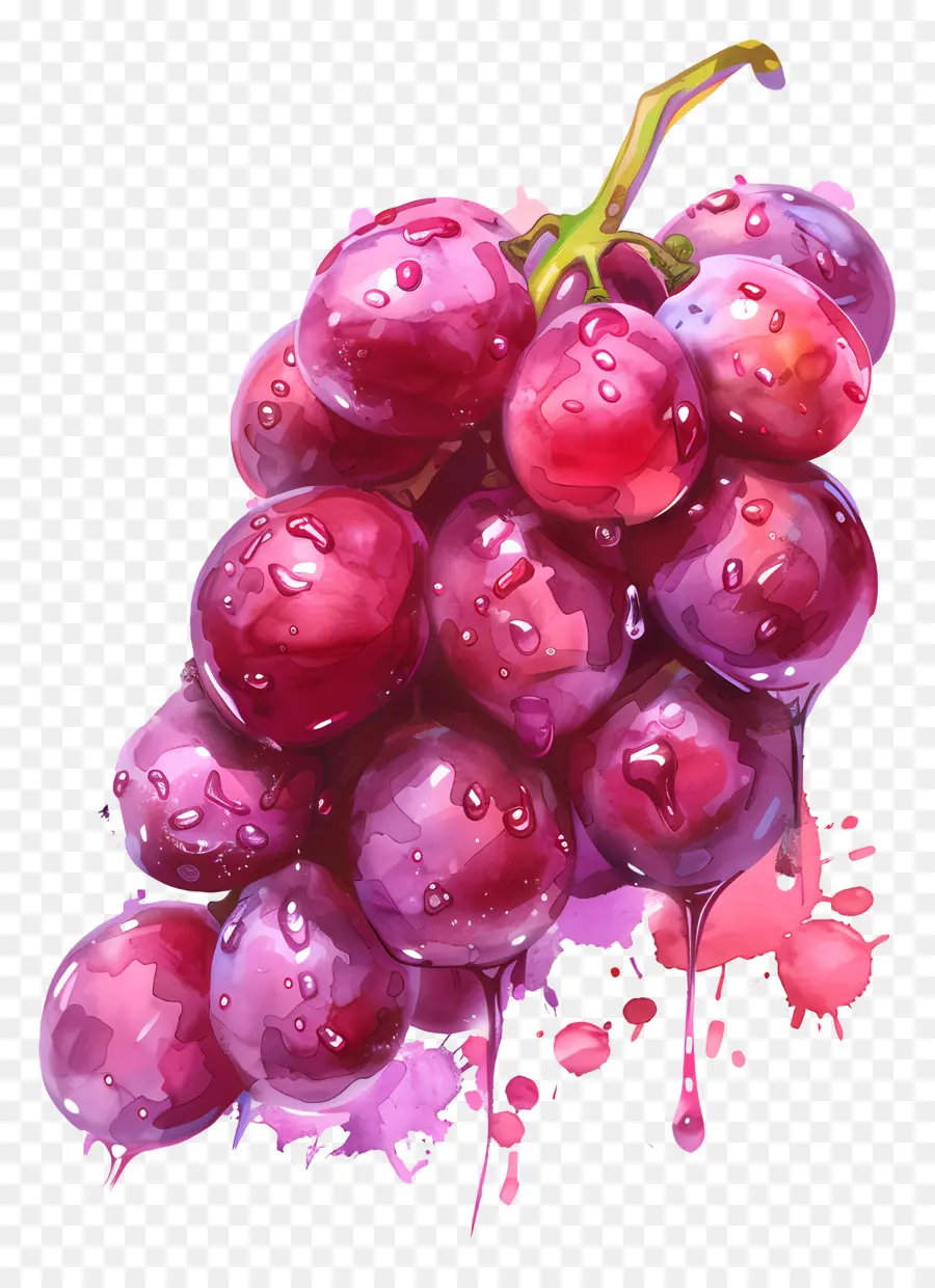 As Uvas Vermelhas，Uvas PNG