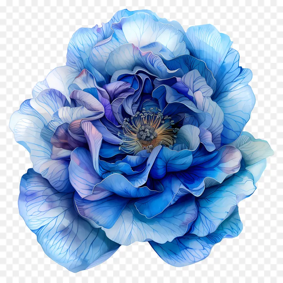 Rosa Azul，Flor Azul PNG