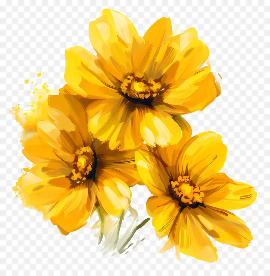 Flores Amarelas，Flor PNG
