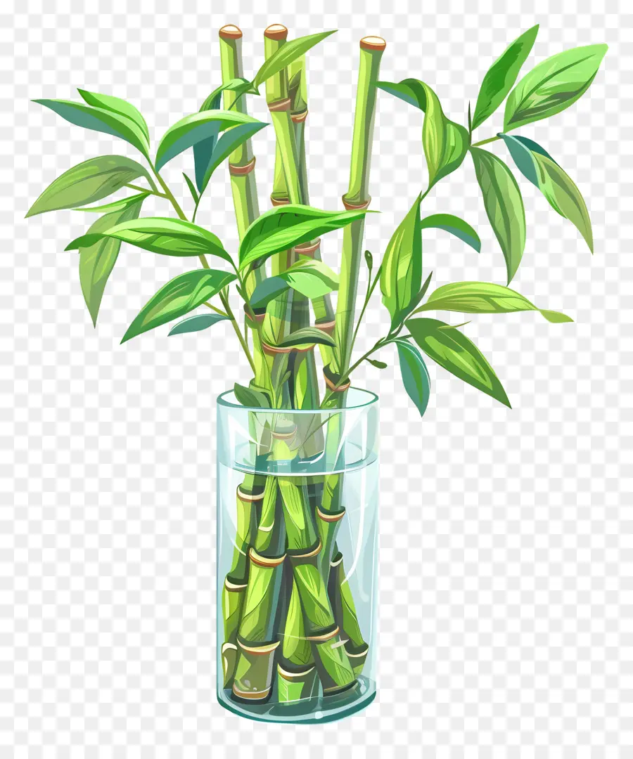 Sorte De Bambu，Claro Vaso De Vidro PNG