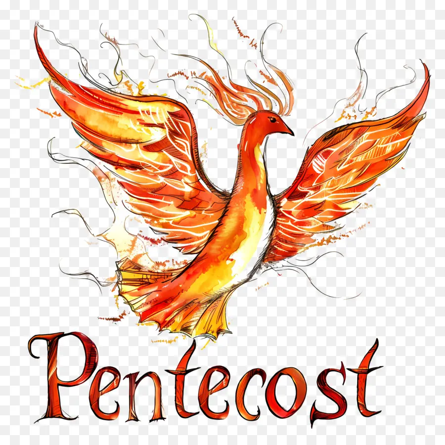 Pentecostes，Phoenix PNG