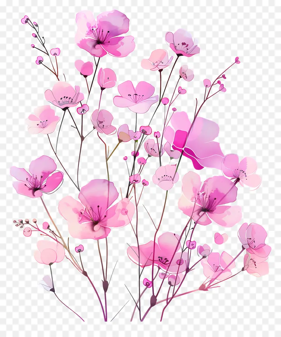 Flores Cor De Rosa，Murcha PNG