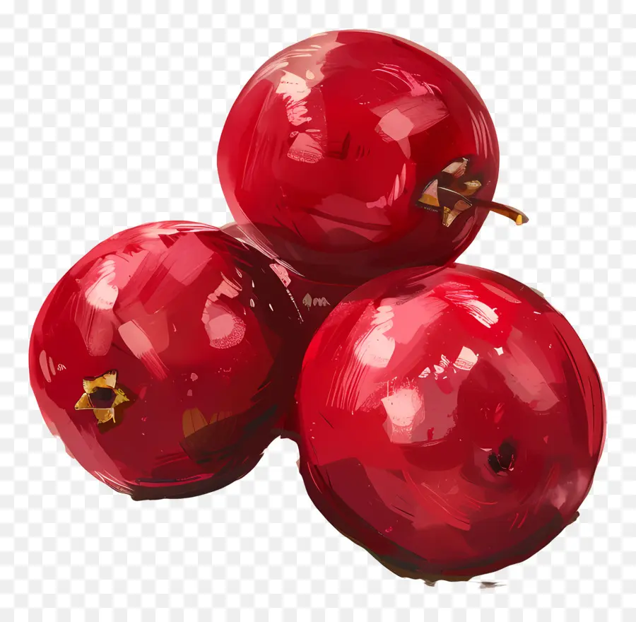 Cranberries，As Uvas Vermelhas PNG