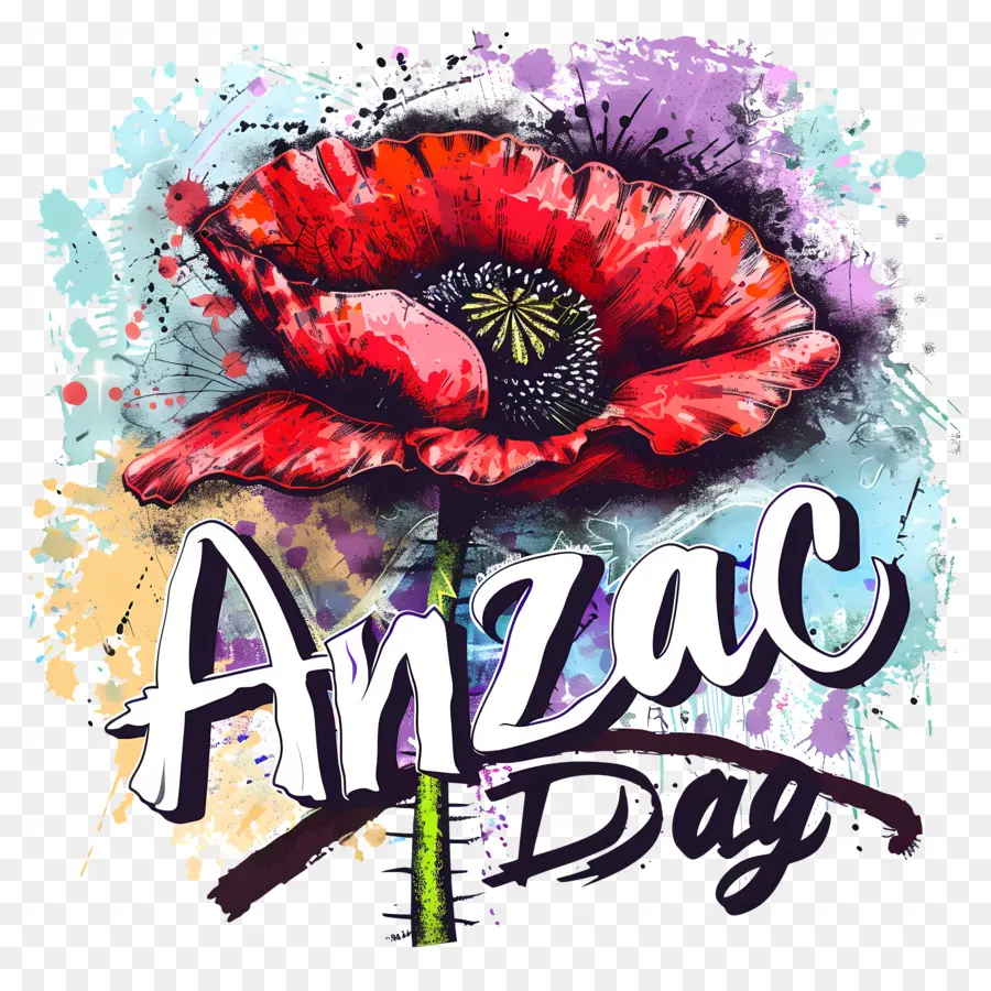 O Dia De Anzac，Papoula Vermelha PNG