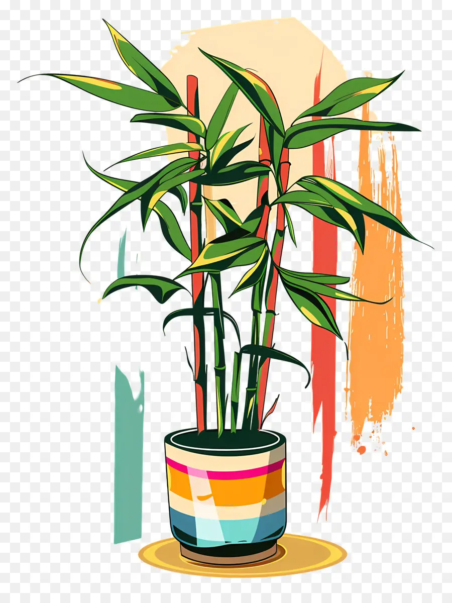 Bambu Da Sorte，Planta De Bambu PNG