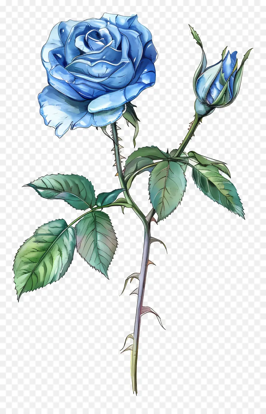 Rosa Azul，Pétalas De Flor PNG
