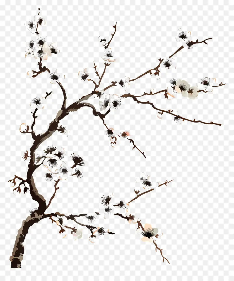 Branch De Cerejeira Florescente，Galho De árvore Com Floração PNG