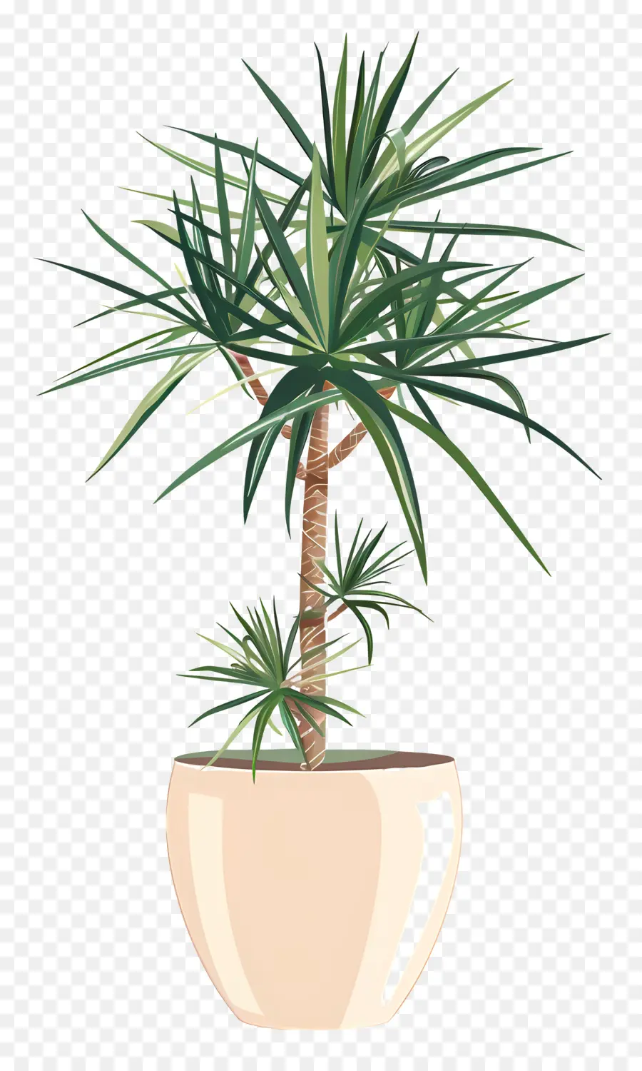 Yucca，Suculenta Planta PNG