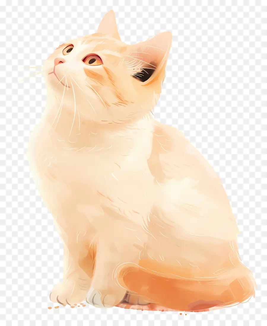 Gato Branco，Gato Dos Desenhos Animados PNG