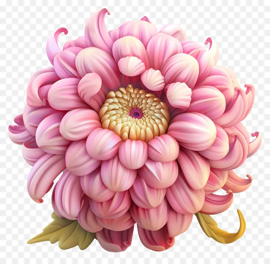 Flores De Desenhos Animados 3d，Rosa Crisântemo PNG